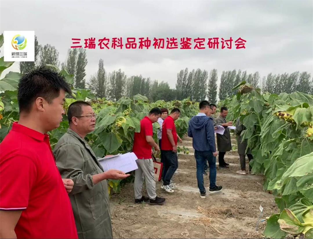 三瑞农科品种鉴定委员会走进新疆三瑞，为新疆种植户带来哪些好消息？