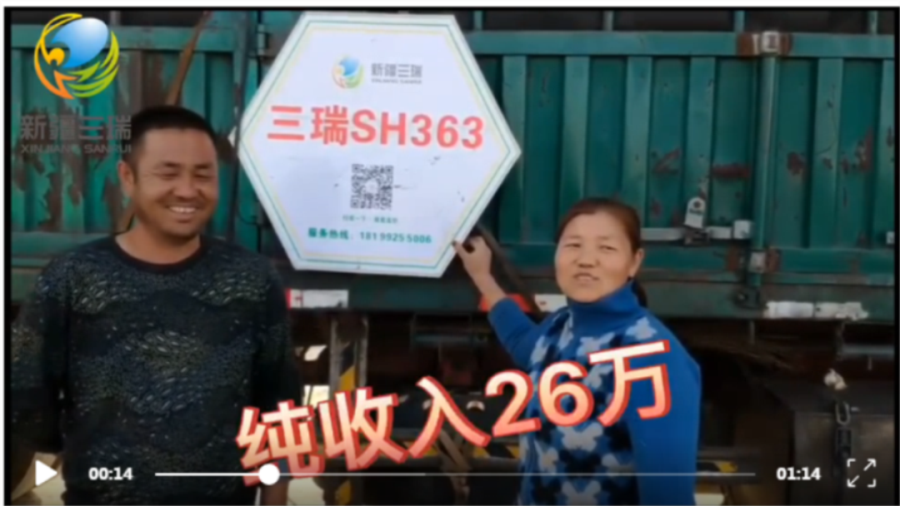 您若不高产，全额退还种子款——亩均效益论英雄，三瑞SH363的重大改革