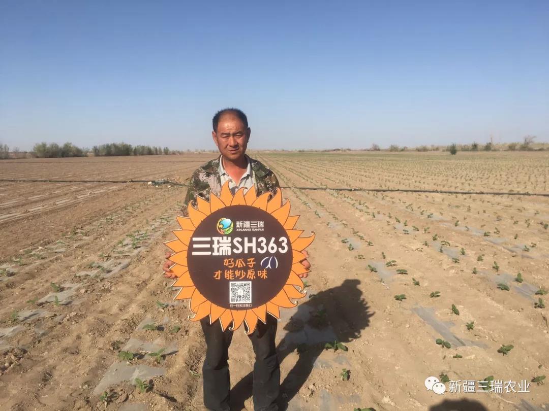 出苗情况撩动一大波种植户，三瑞良种再掀全国销售热潮